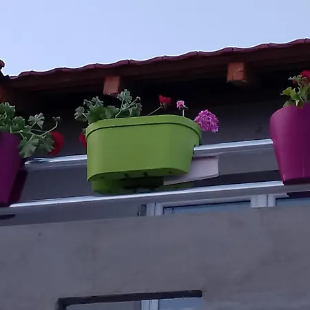 Milica Apartament *