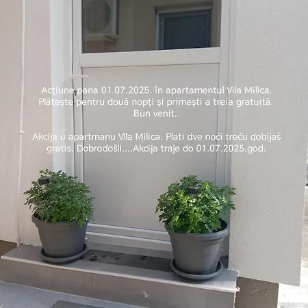 Apartment Milica Kladovo